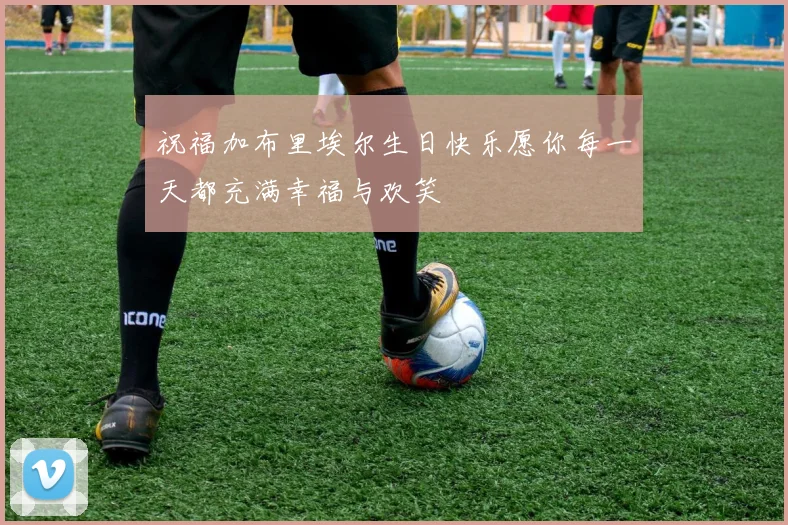 祝福加布里埃尔生日快乐愿你每一天都充满幸福与欢笑