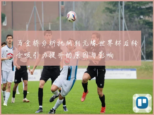 马金桥分析托纳利无缘世界杯后转会吸引力提升的原因与影响