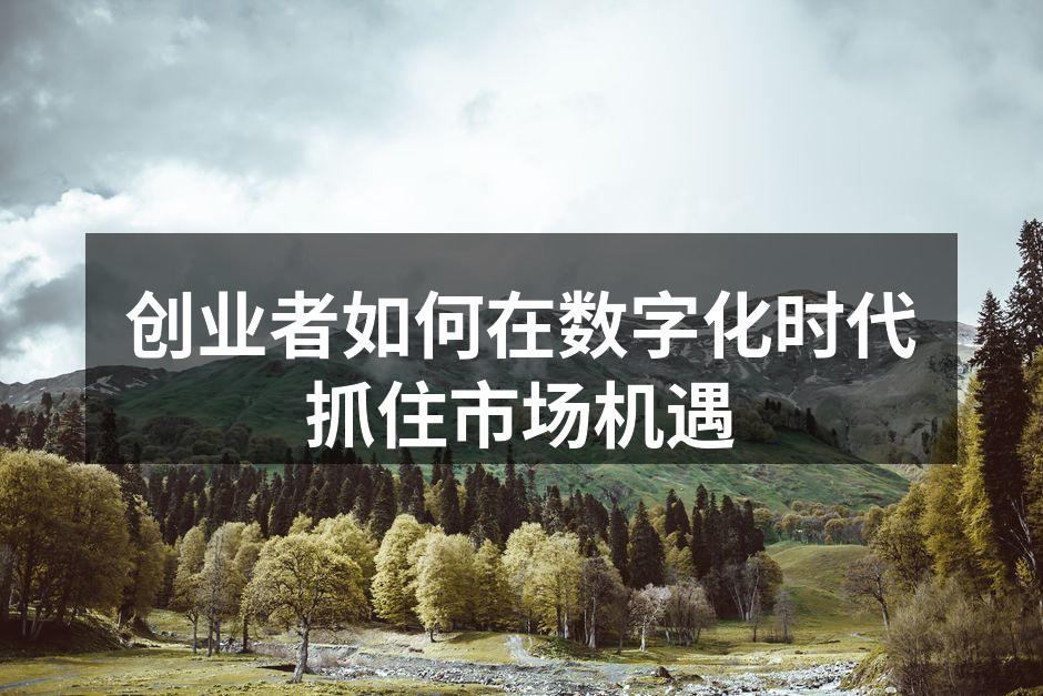 创业者如何在数字化时代抓住市场机遇