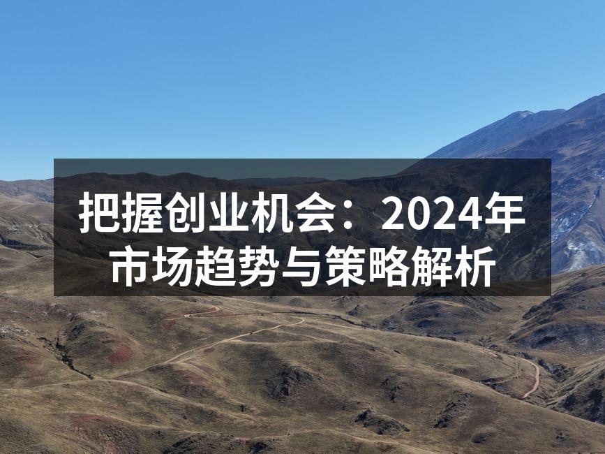 把握创业机会：2024年市场趋势与策略解析
